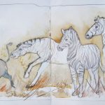 Urban Sketching Tiere Zebra